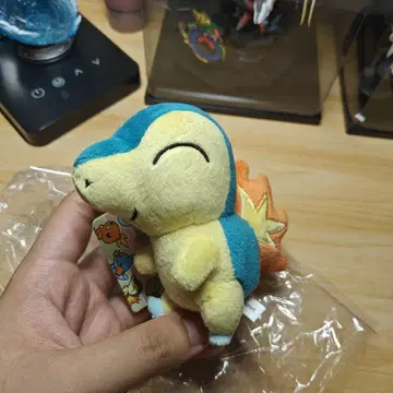 포켓몬 센터 데리고 다니는 마스코트 봉제 인형 히노아라시