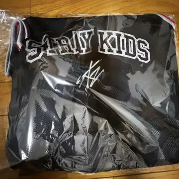 StrayKids 스키즈 업그레 굿즈 후반