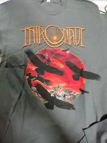 INTRONAUT 그레이 M