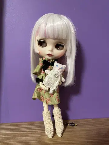 브라이스 아웃핏 꽃무늬 원피스와 룸슈즈, 고양이