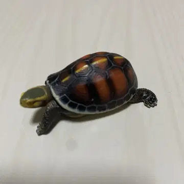 가챠가챠 카메