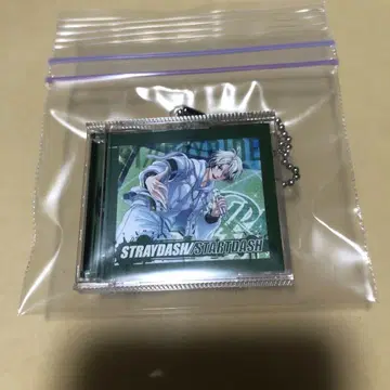 아르고나비스 스트스트 CD 스트랩