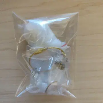 샴 고양이, 삼색 고양이 우리 집 고양이 2개 세트