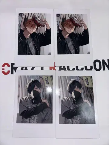 CRAZY RACCOON 랜덤 카드