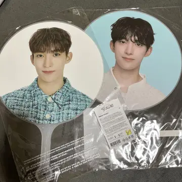 SEVENTEEN 피켓 DK