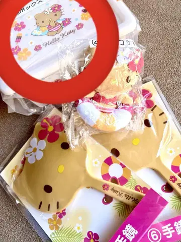 일광화상 키티