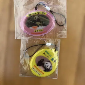 사이힌 스트랩