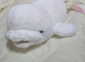 봉제 인형 무릎 시로이루카 M 레몬