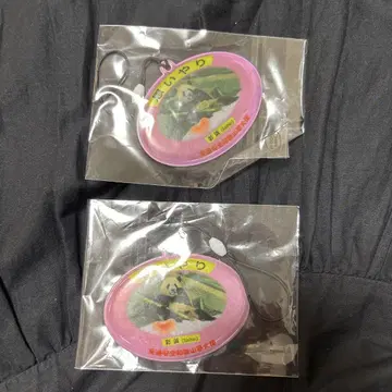 사이힌 스트랩