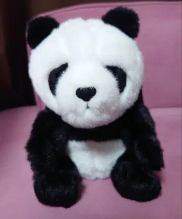 팬더 봉제 인형