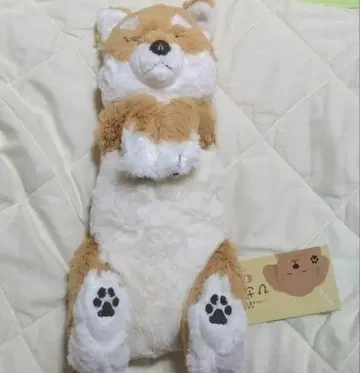 봉제 인형 산 레몬 무릎 강아지 스야스야 시바견 BE