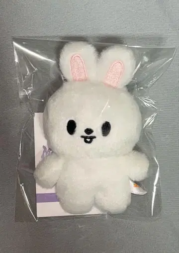 straykids 리노 Leebit 10cm 인형