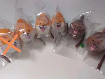 좋은 막대기를 겟한 개