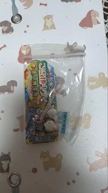 지역 한정판 헬로키티
