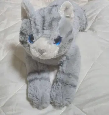선 레몬 봉제 인형 무릎 고양이 GY