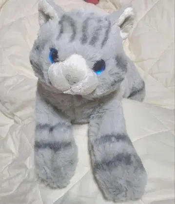 선 레몬 봉제 인형 무릎 고양이 M GY