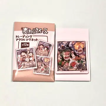 밀짚 스페이스 아크릴 마그넷 조로 상디