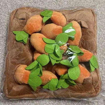 밭 봉제 인형 당근