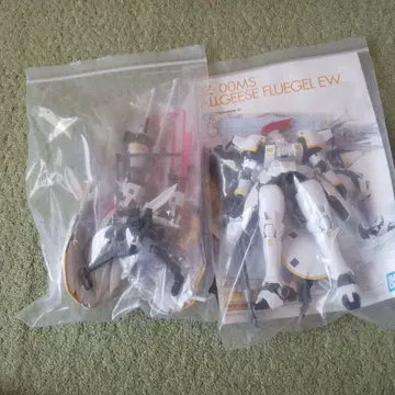 MG 톨기스 f (정크)