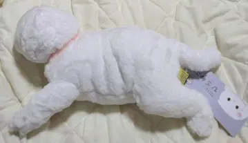 선 레몬 봉제 인형 무릎 고양이 스코티시 폴드 WH