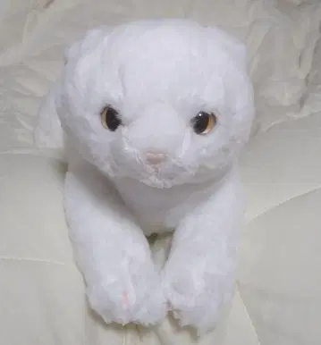 선 레몬 봉제 인형 무릎 고양이 스코티시 폴드 WH
