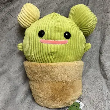 선인장 사보린 사보룬 울트라 BIG 봉제 인형 미사용 새상품 사보루노
