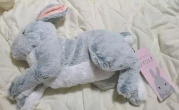 선 레몬 봉제 인형 무릎 토끼 S GY 그레이
