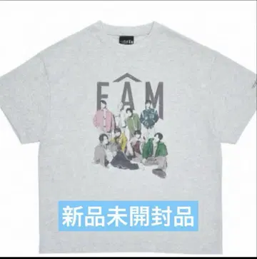 timelesz FAM 투어 티셔츠 그레이