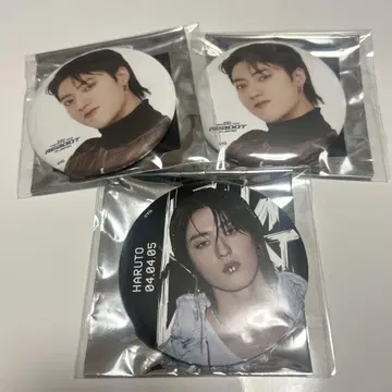 treasure 하르토 캔뱃지