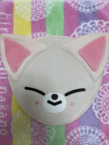straykids 아이엔 skzoo 부채 커버