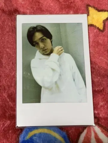 요시다 지오 폴라로이드 세트