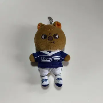 skzoo 한 백 참