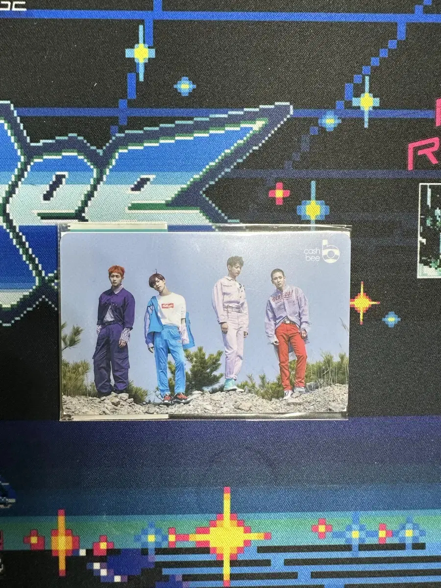 Shinee Cashbee Transportation Card