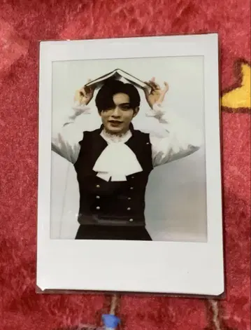 요시다 지오 폴라로이드 세트