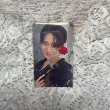 SEVENTEEN 세부치 트레이딩 카드 조슈아 SPILL 공연장 한정판