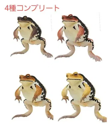 네이처 테크니컬러 큰 두꺼비 4종 컴플리트