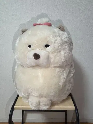 모후이 개 차우넨 울트라 BIG