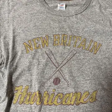 Champion 스며든 트리코 태그 Hurricanes 티셔츠 L