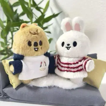 stray kids/SKZOO 봉제 인형 의류 10cm 사이즈 된장