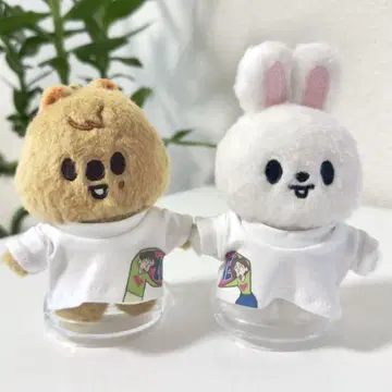 stray kids/SKZOO 봉제 인형 의류 10cm 사이즈 된장