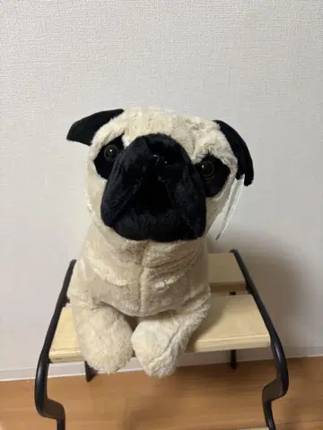 항상 함께! 퍼그 군 45cm [봉제 인형]