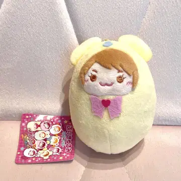 프리큐어 빛의 전사 프리큐어 나기사 메플 봉제 인형 마스코트