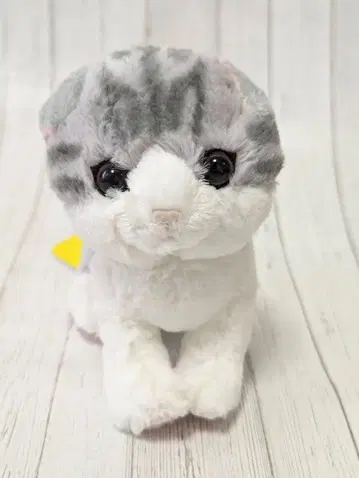 Kitten 키톤 봉제 인형 스코티시 폴드 그레이 레몬