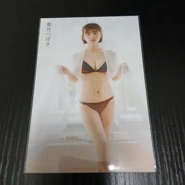 하즈키 츠바사 엽서