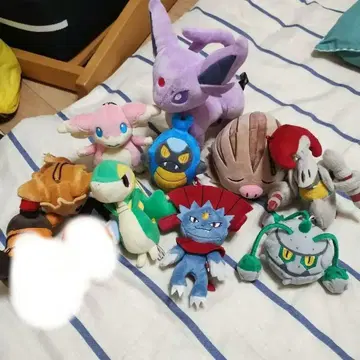 포켓몬 봉제 인형 묶음 판매
