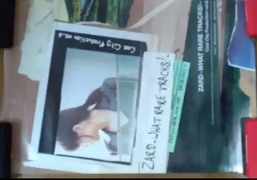ZARD - WHAT RARE TRACKS! 포스터