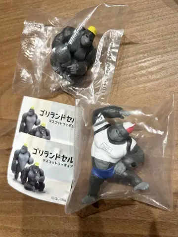 고리란도셀 시크릿과 체육 앉기