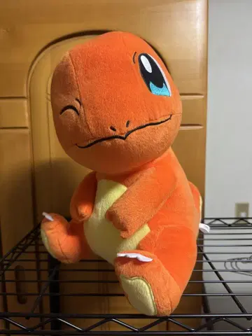 포켓몬스터 꼬리 봐! 엄청 큰 봉제 인형 히토카게