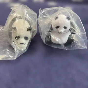 귀여운 팬더 세트