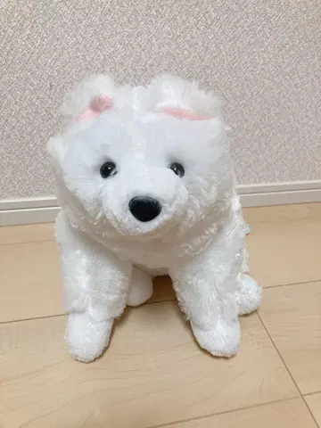 사모에드 봉제 인형